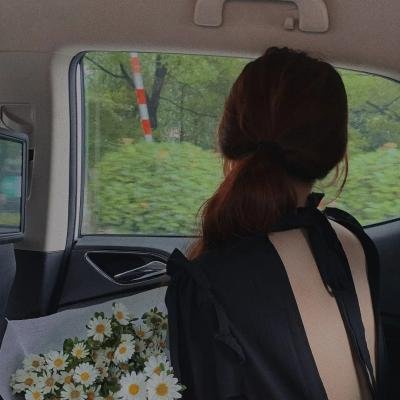 樱花革命:花开时的少女们