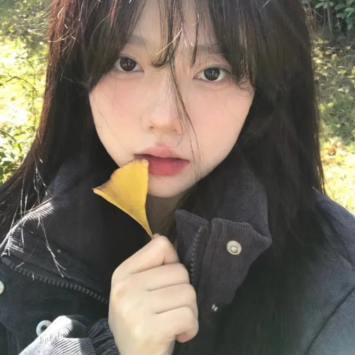 介子鬼城
